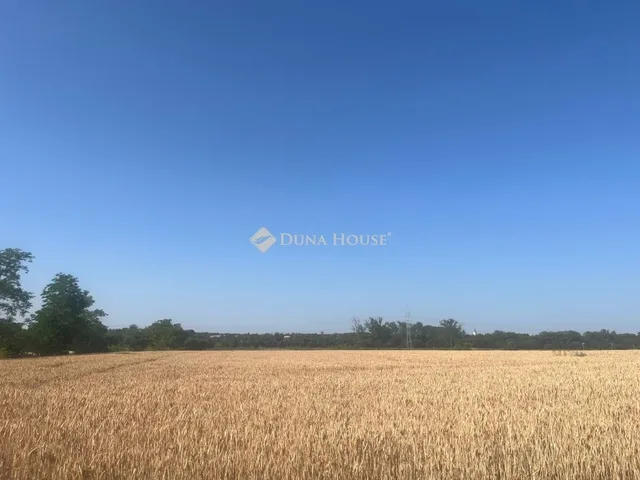 Eladó telek Balatonszabadi 4000 nm