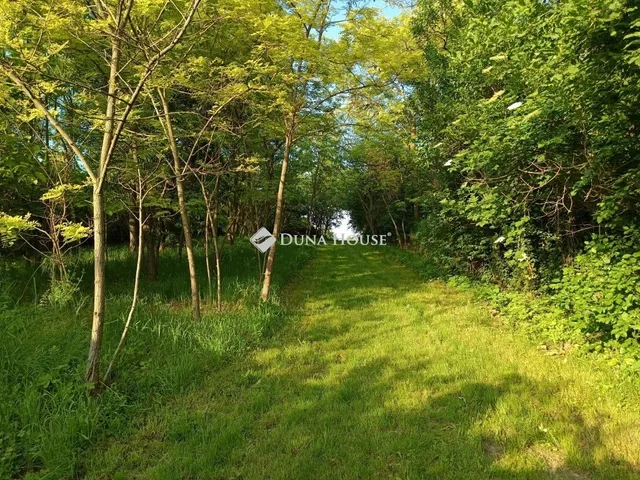 Eladó ház Tengőd 85 nm