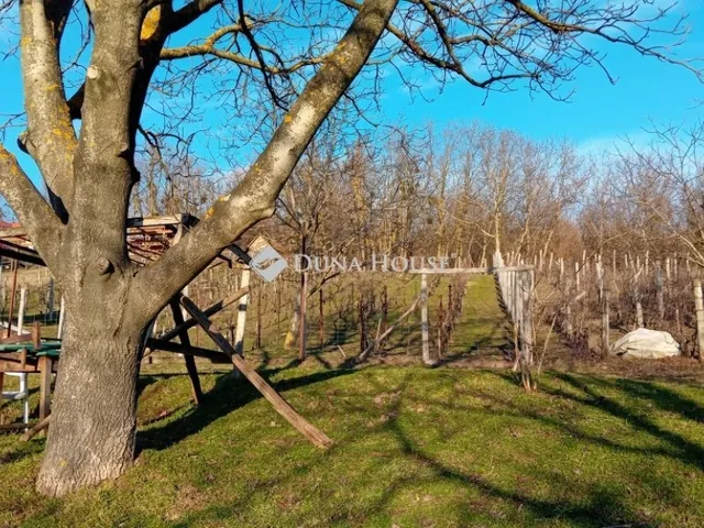 Eladó telek Kereki 839 nm