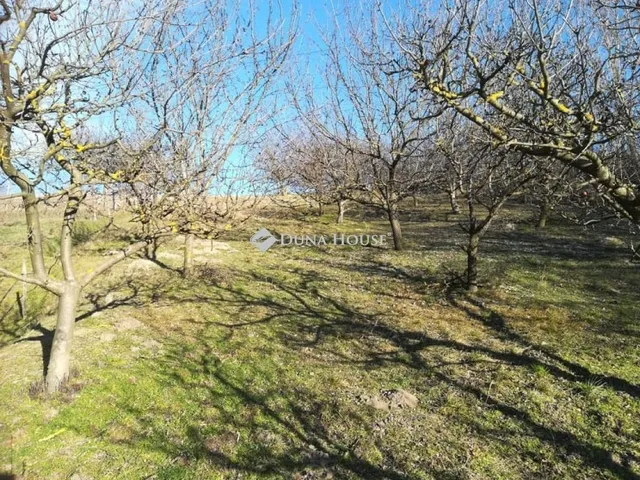 Eladó telek Ádánd 3343 nm