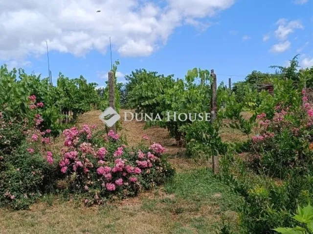 Eladó mezőgazdasági ingatlan Enying 29 nm