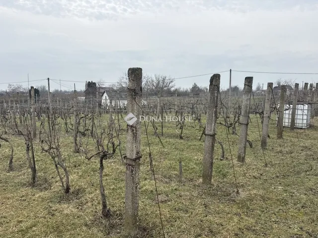 Eladó mezőgazdasági ingatlan Enying 29 nm