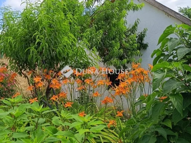 Eladó mezőgazdasági ingatlan Enying 29 nm