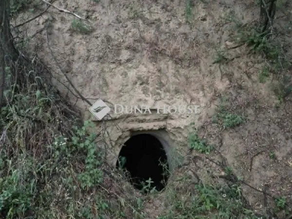 Eladó telek Nagyszékely 24455 nm