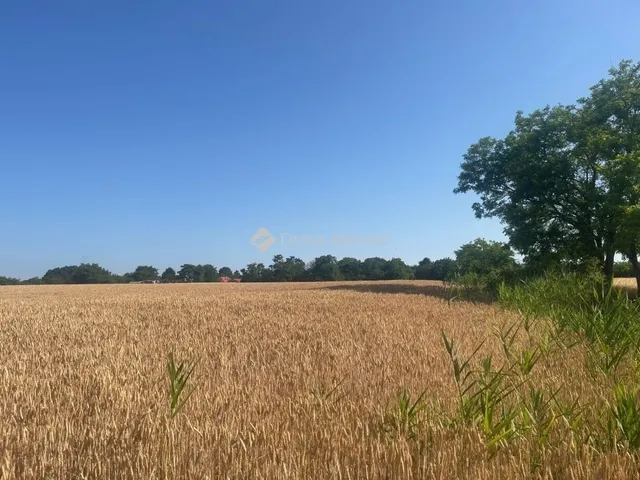 Eladó telek Balatonszabadi 4000 nm