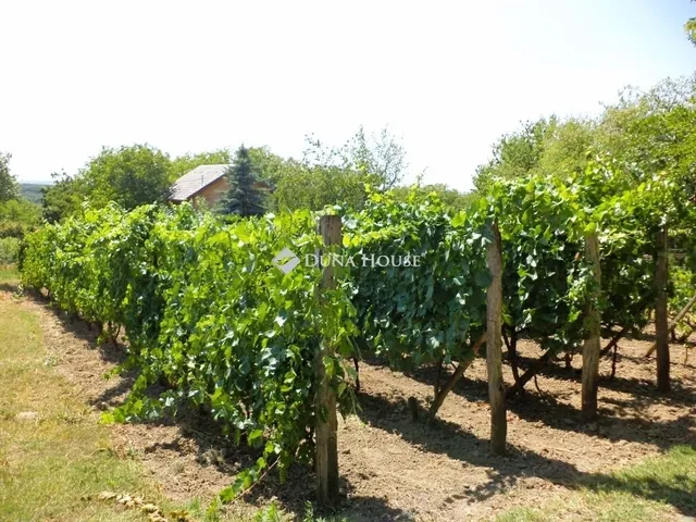 Eladó mezőgazdasági ingatlan Lovasberény 120 nm