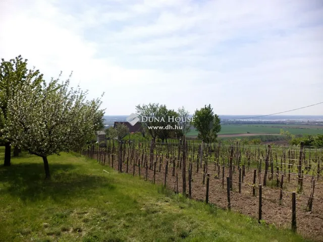 Eladó telek Pázmánd 1231 nm