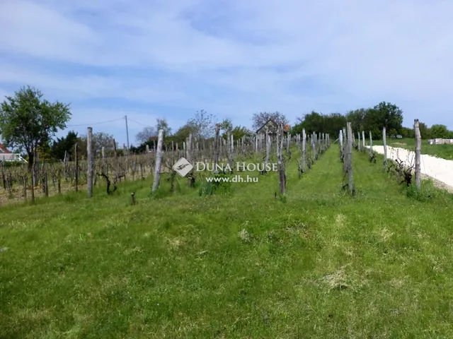 Eladó telek Pázmánd 1231 nm