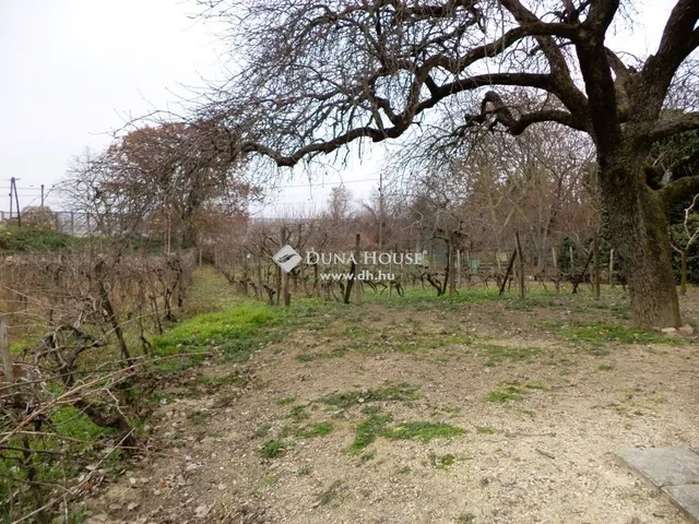 Eladó telek Velence 603 nm