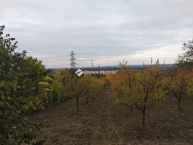 Eladó telek Tordas 1639 nm