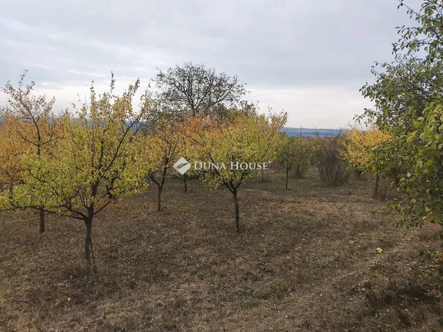 Eladó telek Tordas 1639 nm