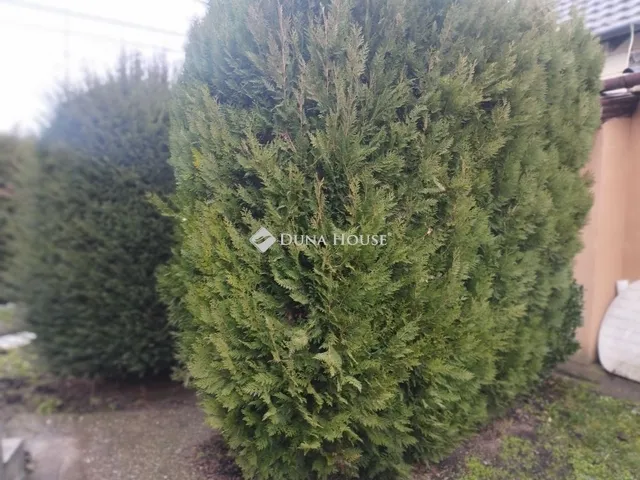 Eladó ház Székesfehérvár 90 nm