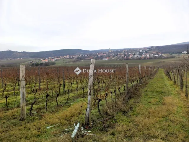 Eladó mezőgazdasági ingatlan Nadap 2687 nm