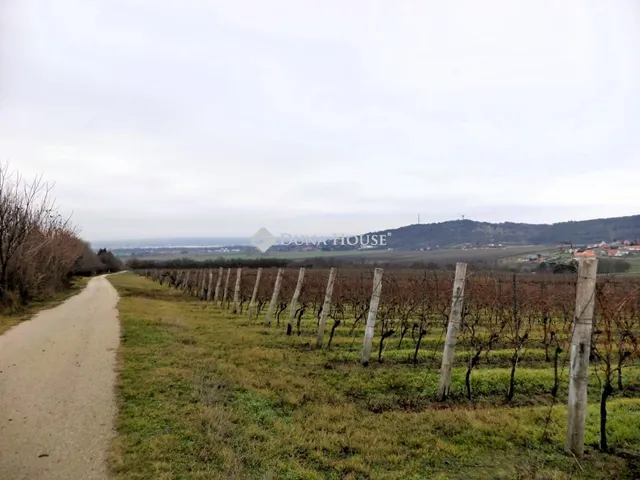 Eladó mezőgazdasági ingatlan Nadap 2687 nm