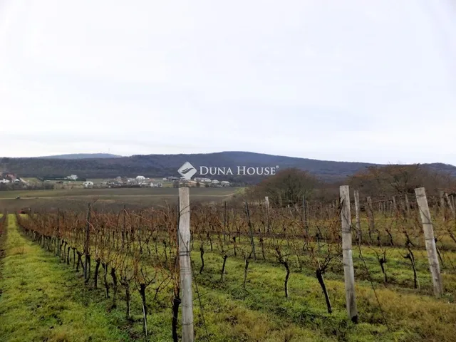 Eladó mezőgazdasági ingatlan Nadap 2687 nm