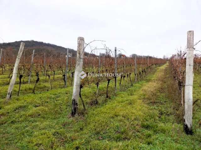 Eladó mezőgazdasági ingatlan Nadap 2687 nm