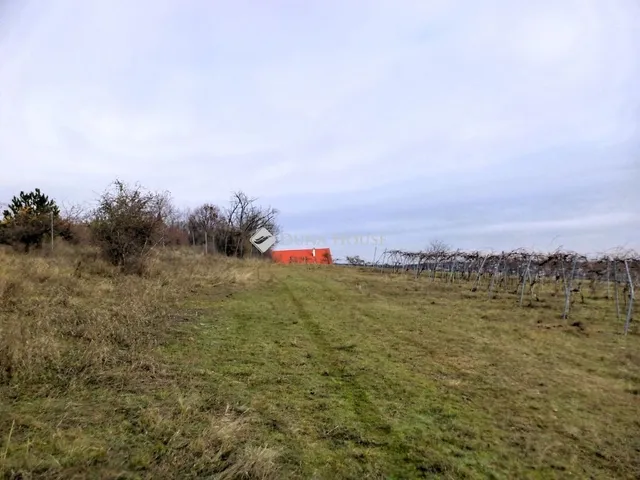 Eladó mezőgazdasági ingatlan Sukoró 2761 nm