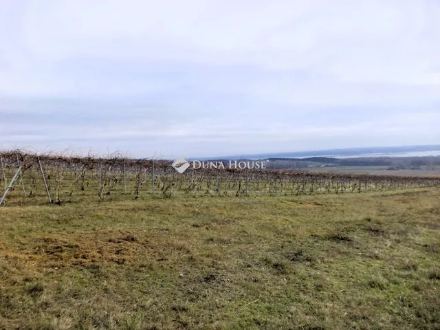 Eladó mezőgazdasági ingatlan Sukoró 2761 nm