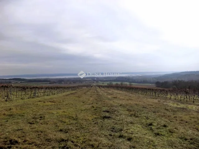 Eladó mezőgazdasági ingatlan Sukoró 2761 nm