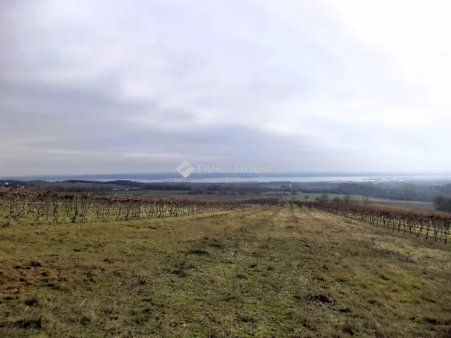 Eladó mezőgazdasági ingatlan Sukoró 2761 nm