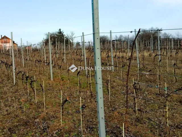 Eladó telek Pázmánd 1895 nm