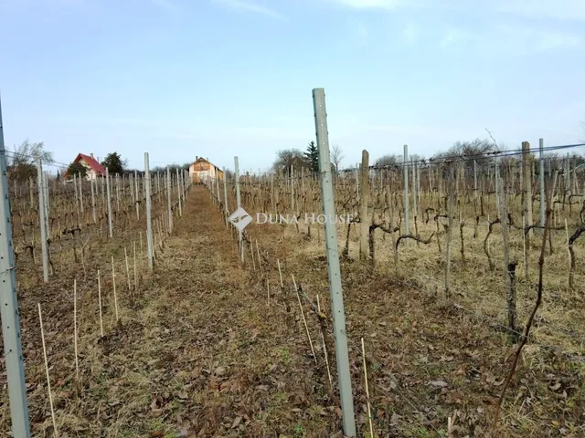 Eladó telek Pázmánd 1895 nm