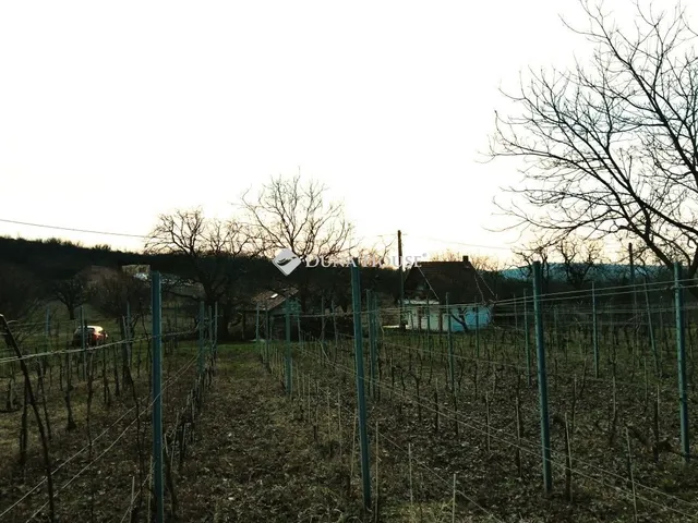 Eladó telek Pázmánd 1895 nm