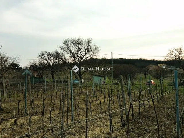 Eladó telek Pázmánd 1895 nm