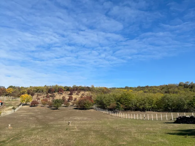 Eladó mezőgazdasági ingatlan Őrbottyán, Vácbottyán 11000 nm