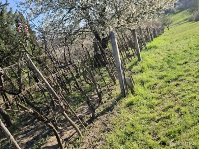 Eladó telek Perbál 1136 nm