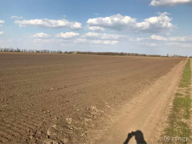 Eladó mezőgazdasági ingatlan Szentpéterszeg, 090 10500 nm