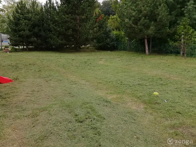 Eladó telek Moha 1000 nm