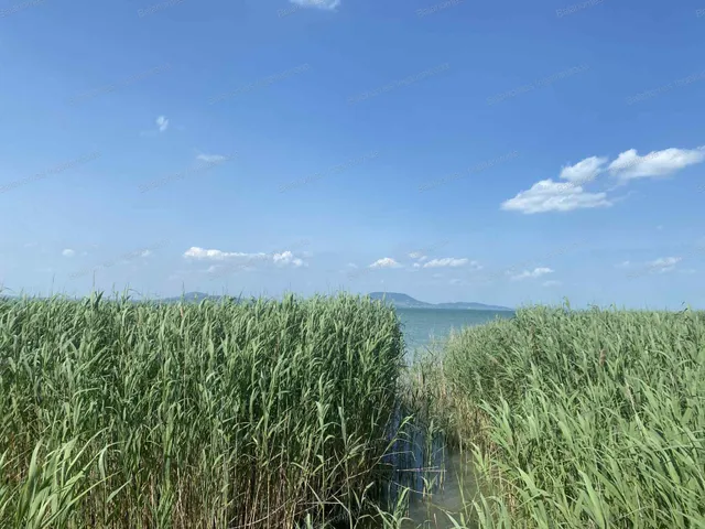 Eladó telek Balatonmáriafürdő 1061 nm