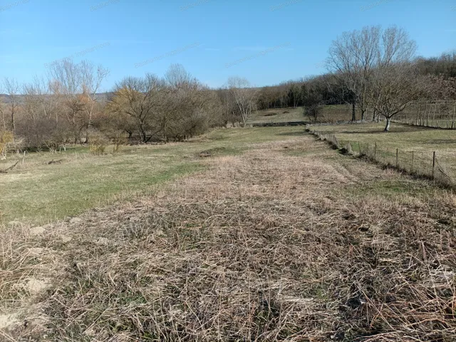 Eladó ház Nagycsepely 120 nm