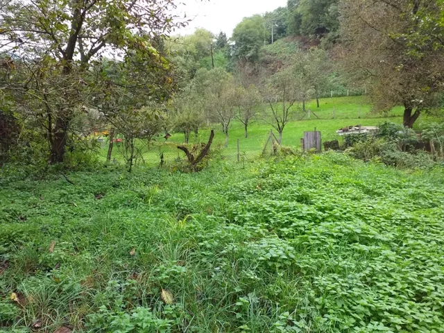 Eladó telek Karancsalja 1872 nm