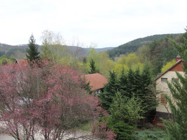 Eladó ház Bükkszék 160 nm