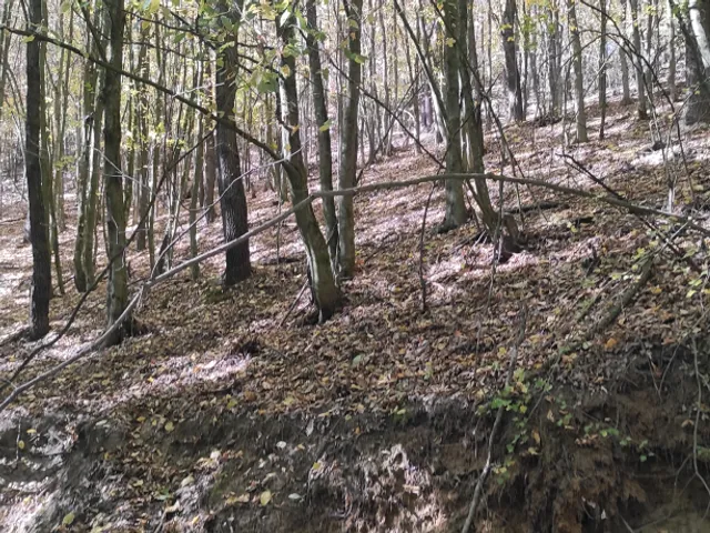 Eladó mezőgazdasági ingatlan Szilaspogony 119210 nm