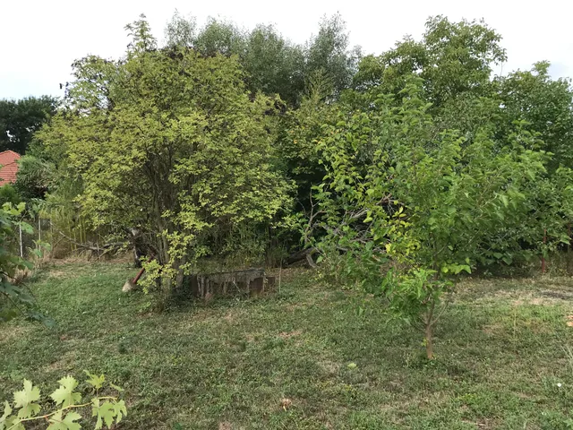 Eladó ház Békéscsaba, Erzsébethely (Jamina) 91 nm