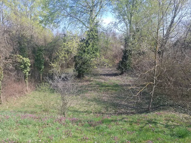 Eladó telek Békés, Malomasszonykert 2613 nm