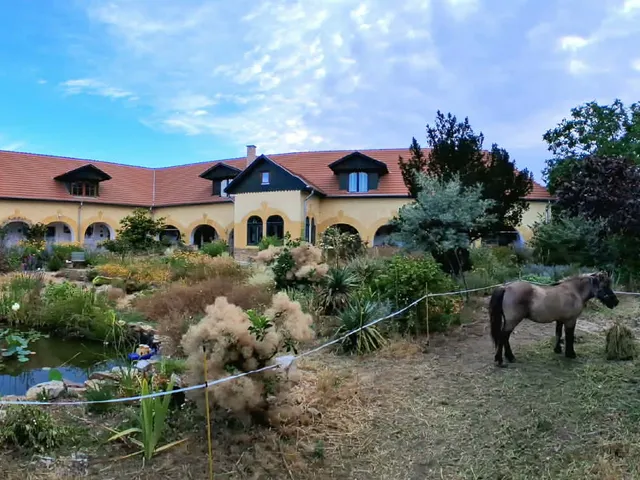 Eladó ház Tiszaalpár 280 nm