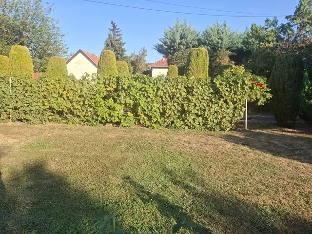 Eladó ház Sarkad 96 nm