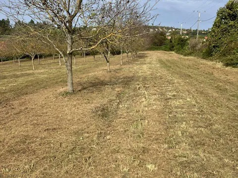 Eladó telek Cserszegtomaj 71329 nm
