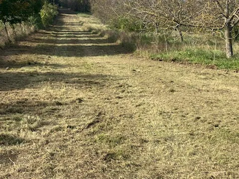 Eladó telek Cserszegtomaj 71329 nm