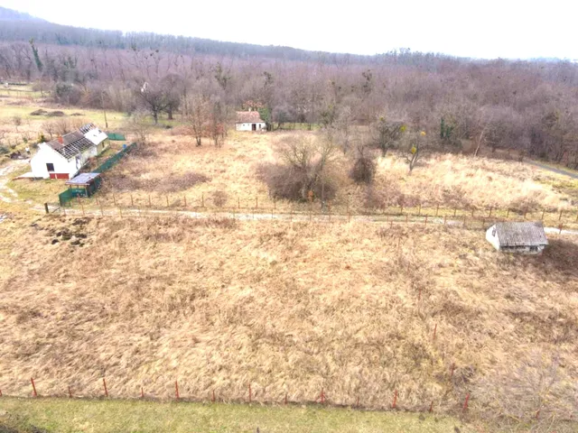 Eladó mezőgazdasági ingatlan Bazsi 100 nm