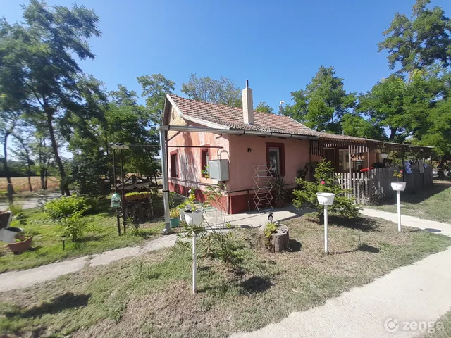 Eladó mezőgazdasági ingatlan Tömörkény 1800 nm