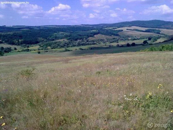 Eladó telek Bér 1579 nm