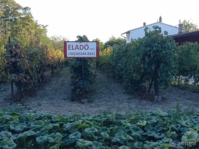 Eladó telek Dunaújváros, Óváros 720 nm