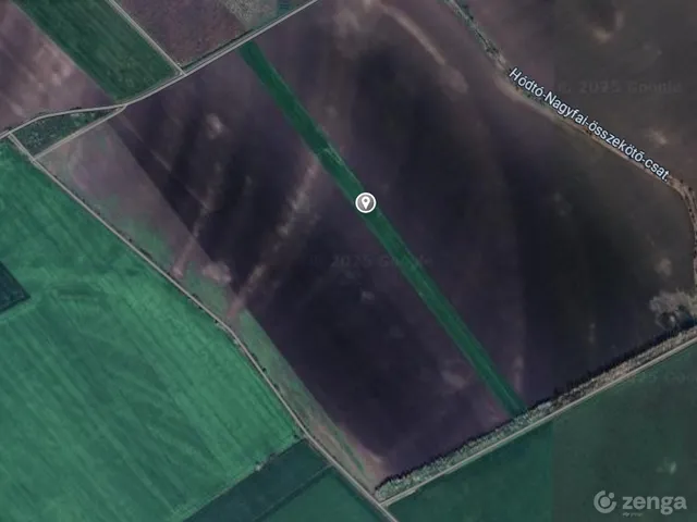 Eladó mezőgazdasági ingatlan Hódmezővásárhely 65000 nm