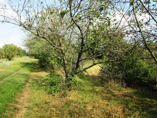 Eladó mezőgazdasági ingatlan Szomód 2500 nm