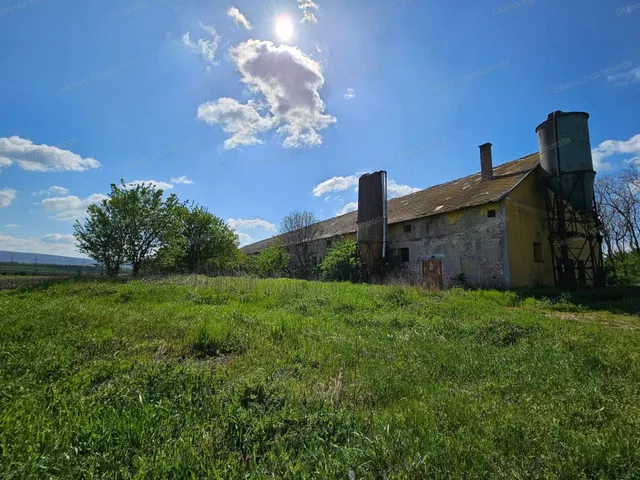 Eladó mezőgazdasági ingatlan Környe 2000 nm